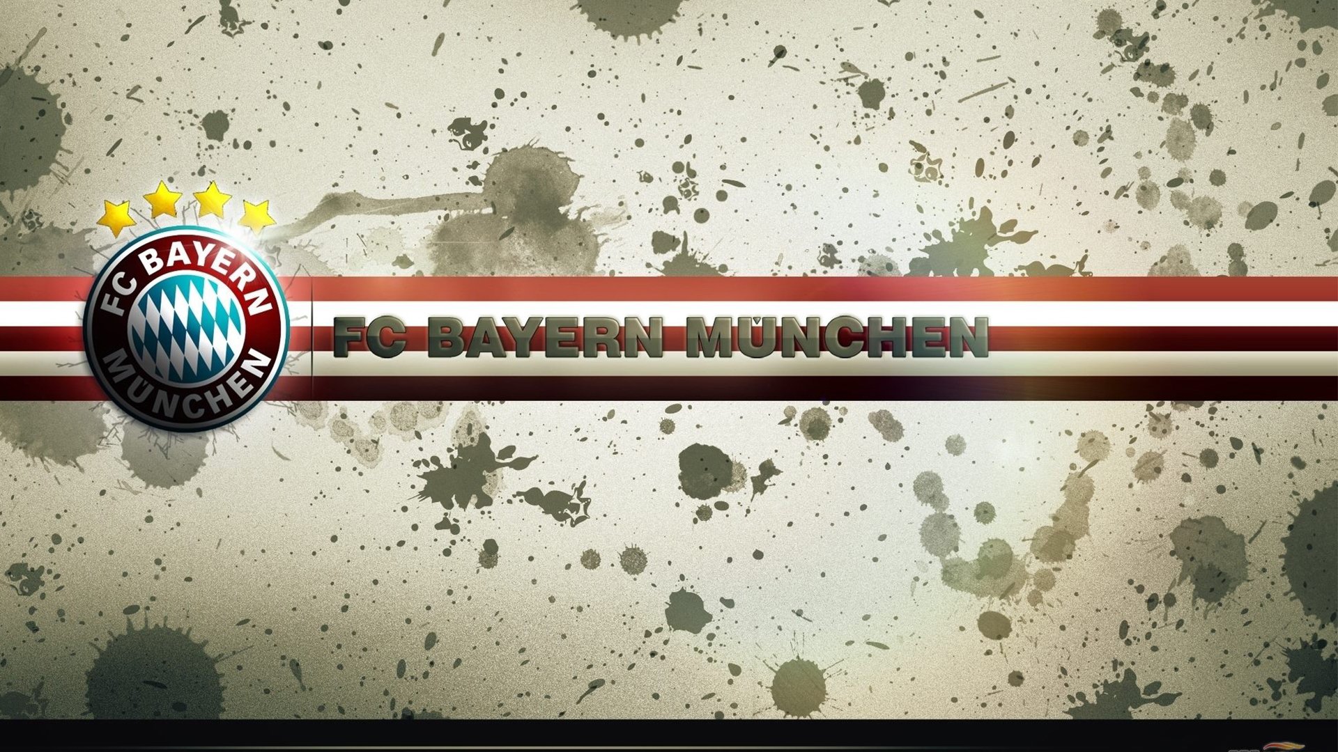 国际水下摄影大赛，探索海底奇观，中国水下摄影